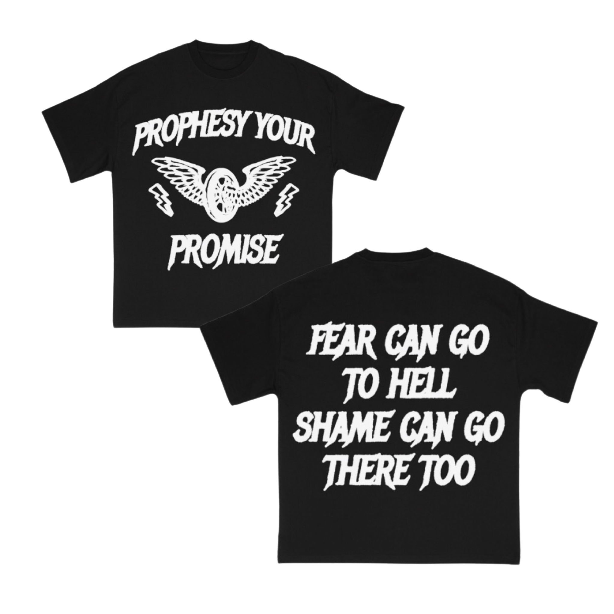PROPHESY YOUR PROMISE - UNISEX SHIRT